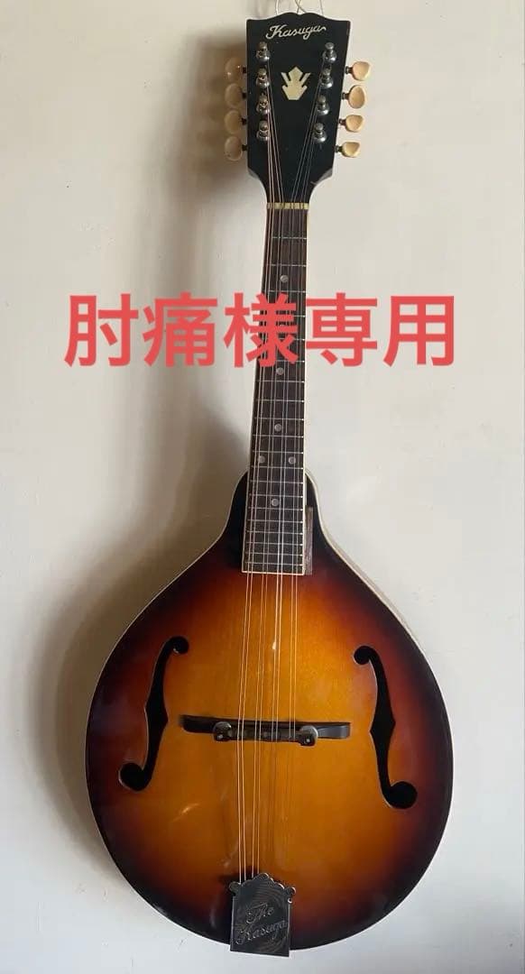 肘痛さま 専用 The Kasuga Customフラットマンドリン