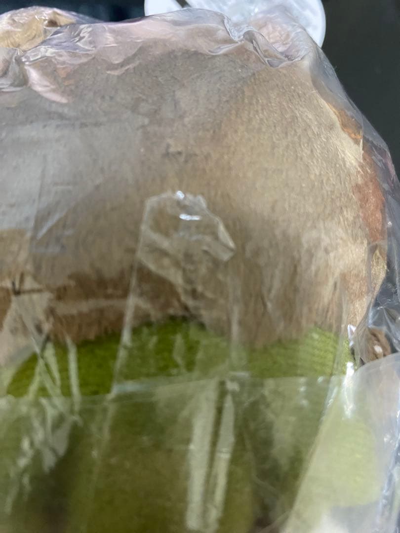 ちいかわ　仮装しちゃう！マスコット　オオカミなハチワレ