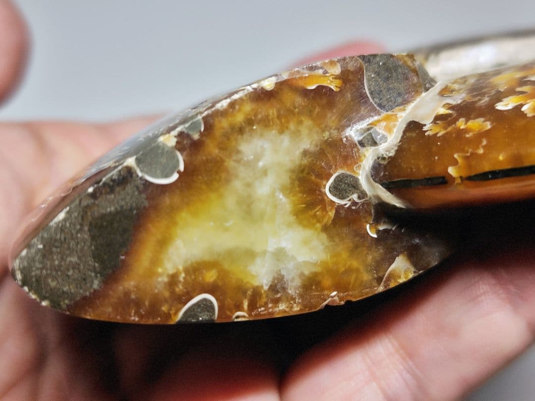 アンモナイト 383g アンモライト オパール 原石 鑑賞石 自然石 誕生石