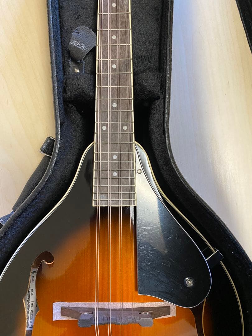 Aria AM-20 フラットマンドリン