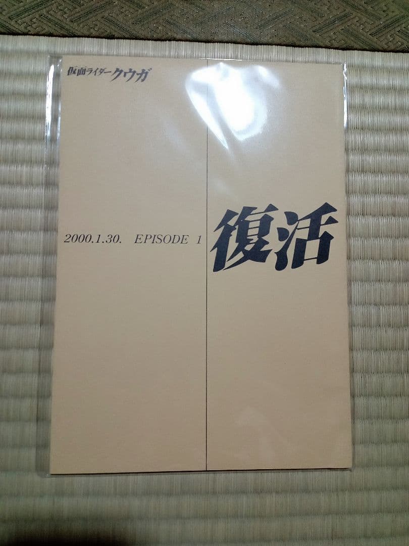 真骨彫 古代戦士クウガ 超クウガ展図録 その他 仮面ライダークウガ