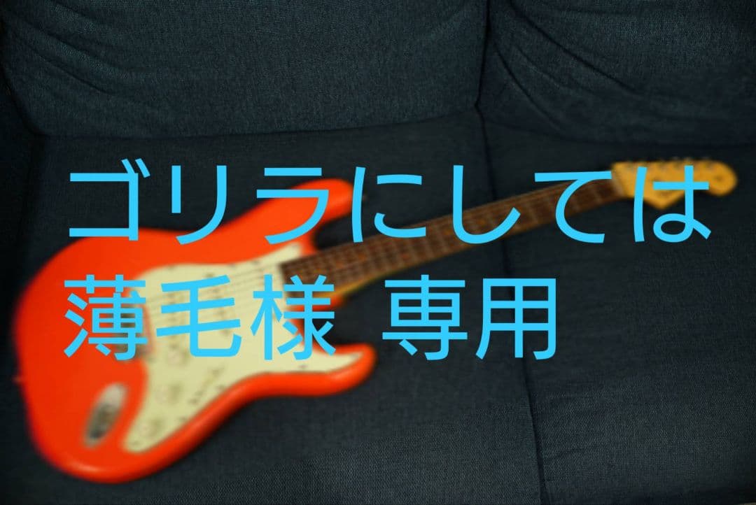 ゴリラにしては薄毛