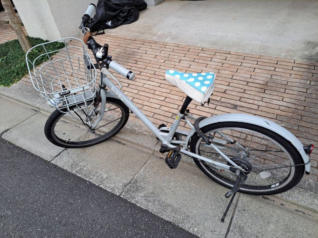 ブリジストン bike 22インチ　ビッケ　子供用自転車 グレー