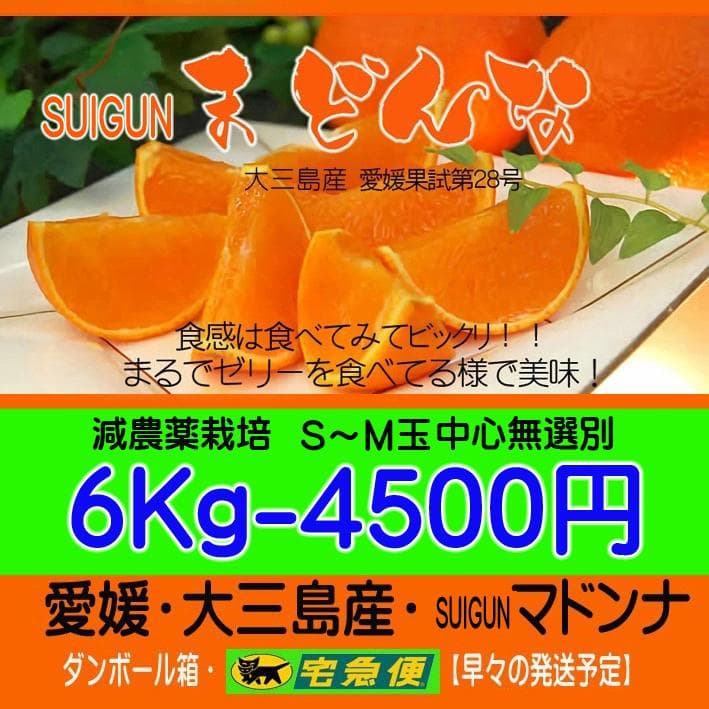 【piggyちゃん】SUIGUNマドンナS6Kg＊２箱　　【２箱縛りでの発