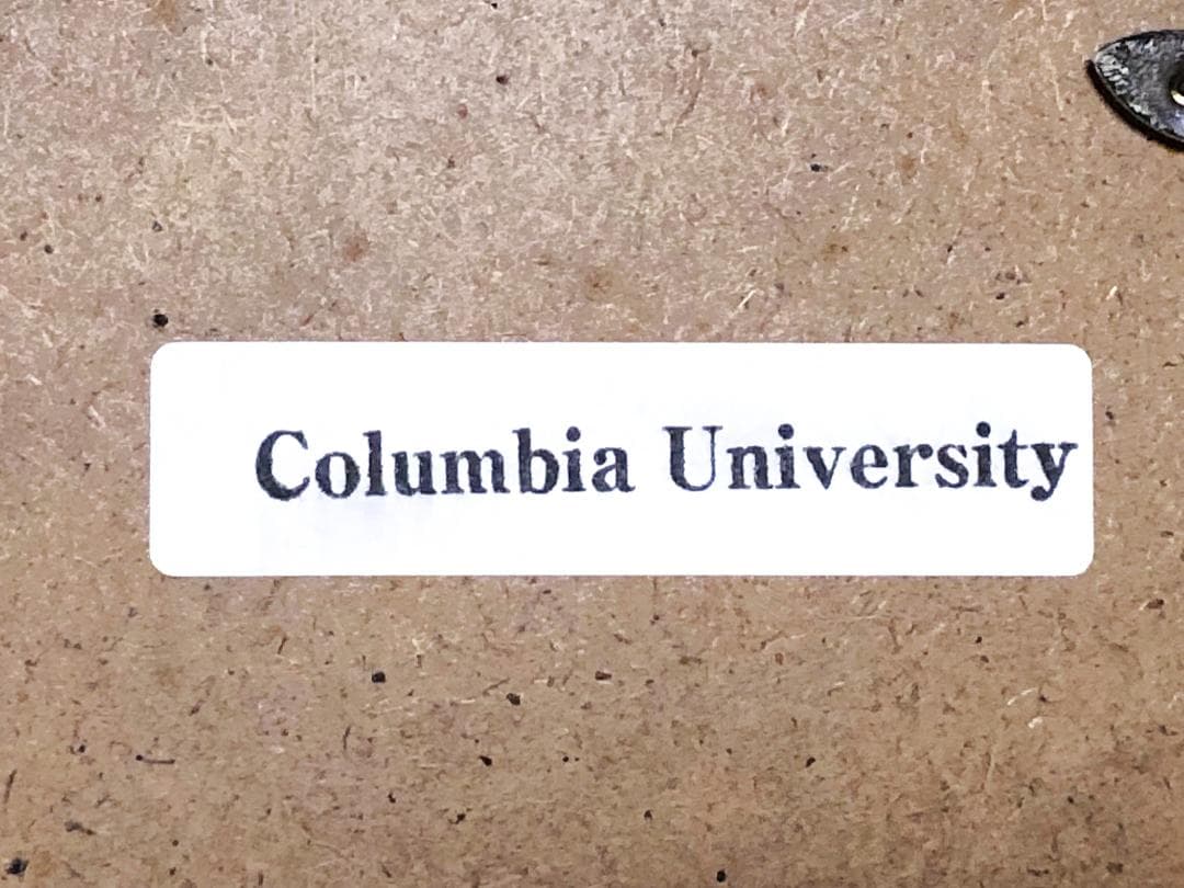 【「紫式部日記」古筆切 】　天文12年（1543）　杉田玄白・所蔵写本