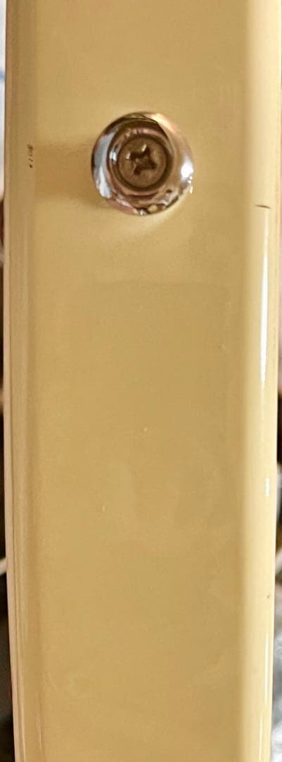 ギター Godin Radiator