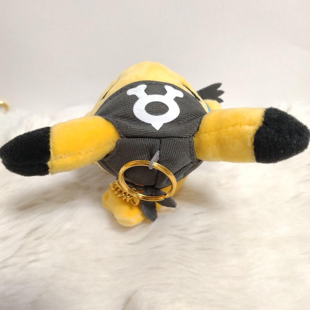 ✨美品✨ ２体セット❗ 団員ごっこピカチュウ マグマ団 アクア団 ぬいぐるみ