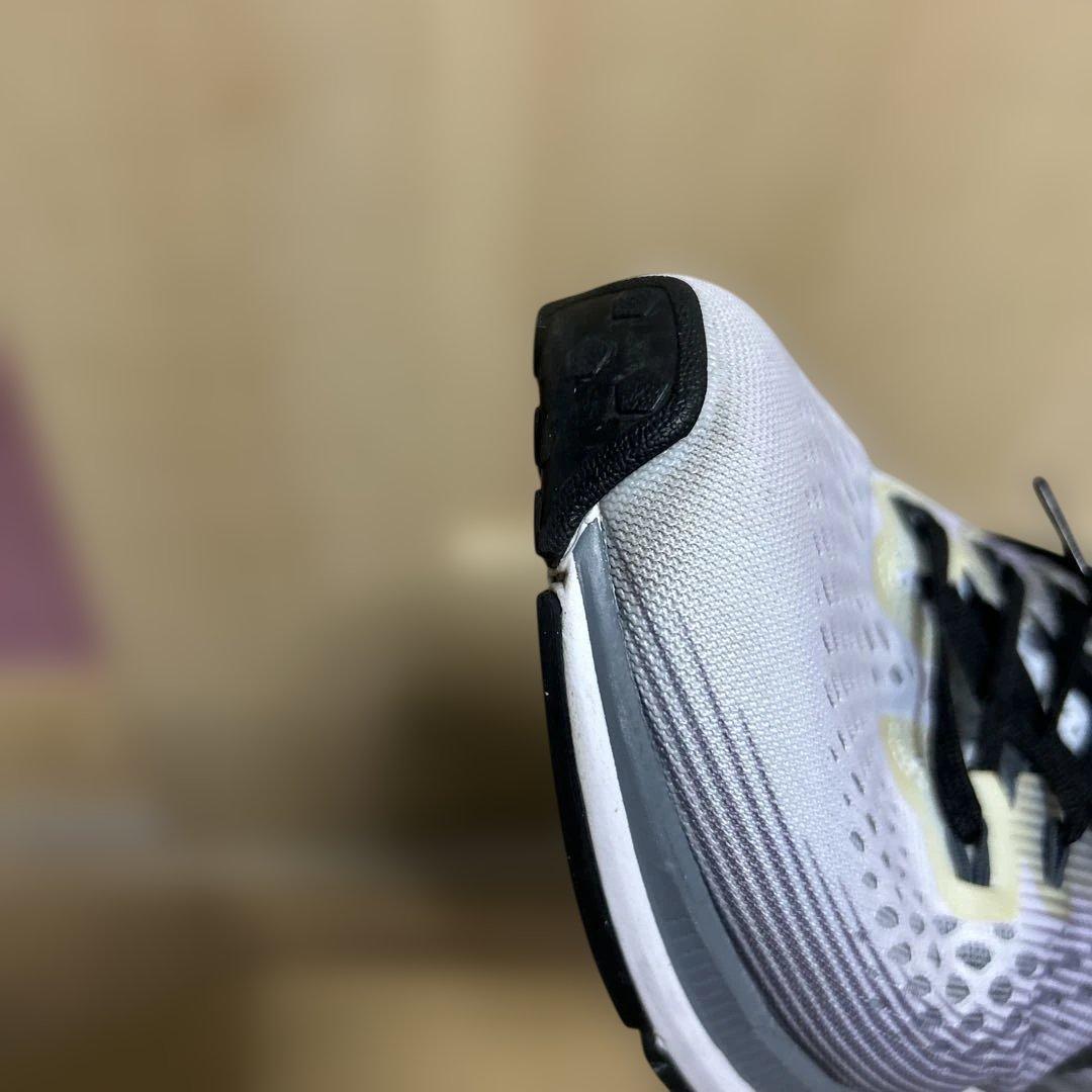 Nike Oregon project ペガサス　サイズ28cm