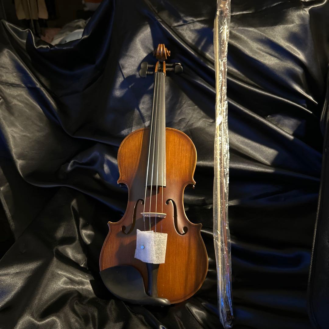 バイオリン　ハルシュスタット　セミハードケース付き。肩当て。