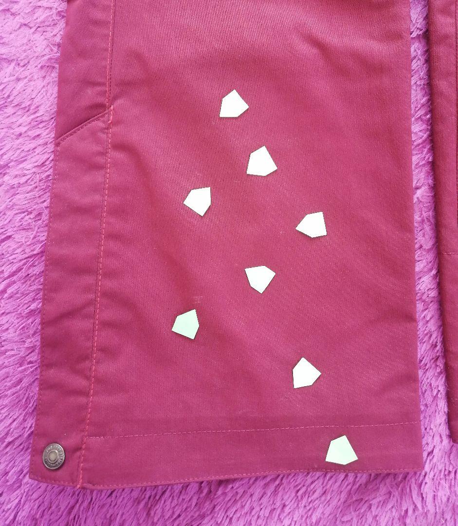 レディース S スノーボード スキー ウェア 上下 フェニックス エスティボ