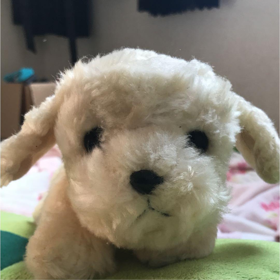 犬のぬいぐるみ