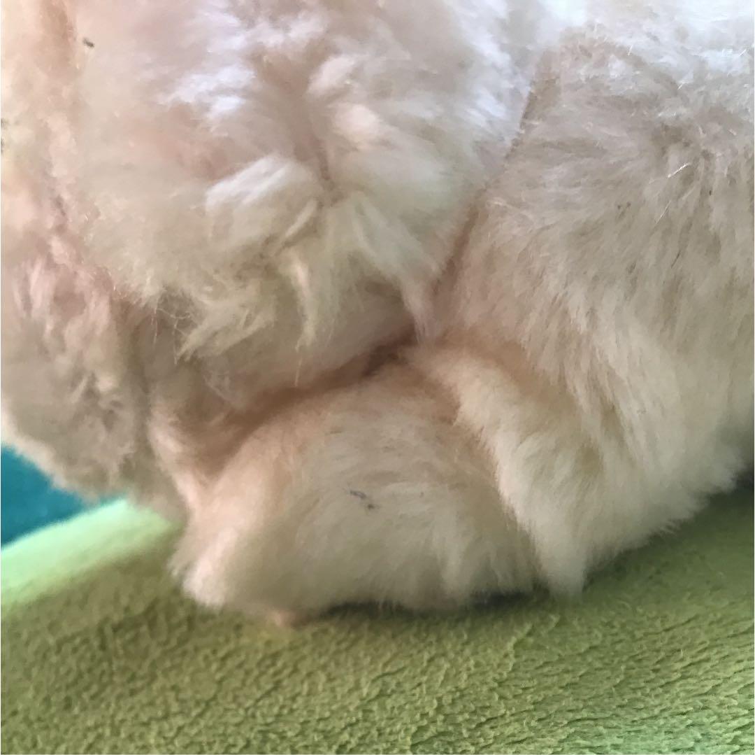 犬のぬいぐるみ