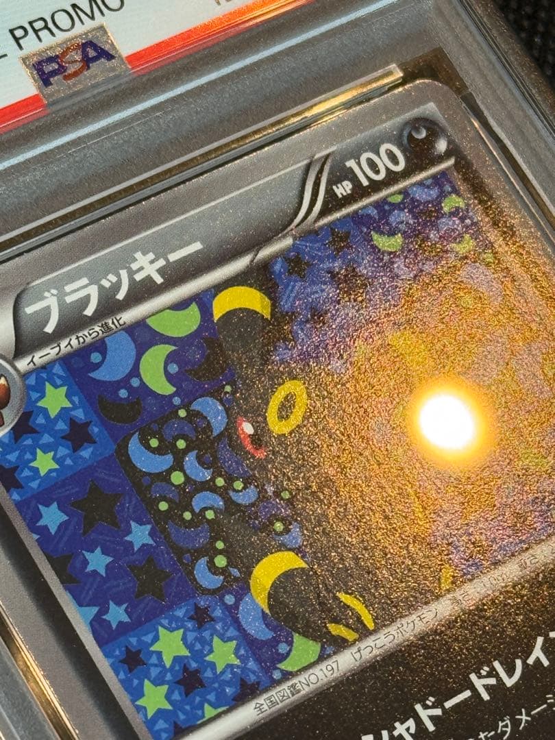 ポケモンカードゲーム ブラッキー イーブイコレクション プロモ　psa8