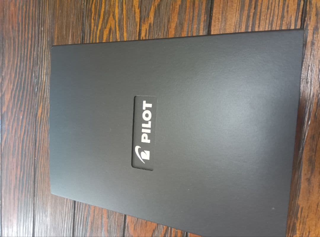 PILOT 木目調 万年筆 Bペン先 ケース付