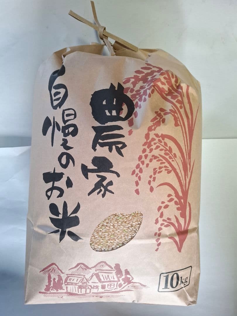 令和七年産　三重県産コシヒカリの玄米