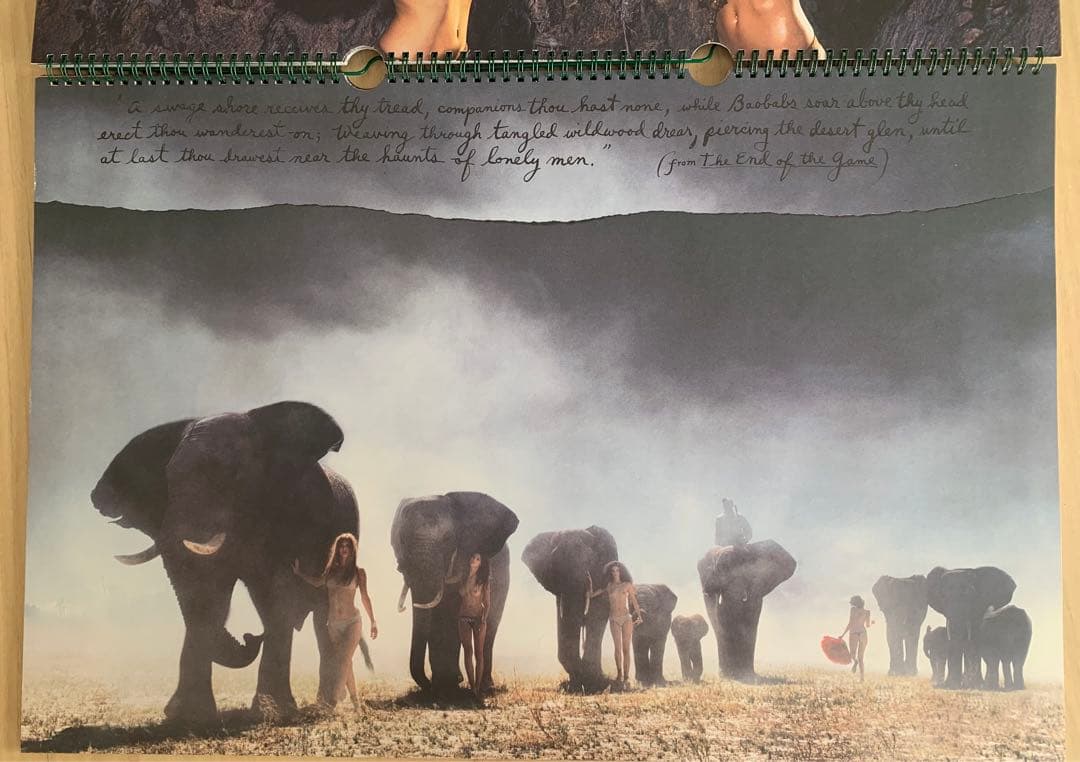 Peter Beard カレンダーPirelli 2009