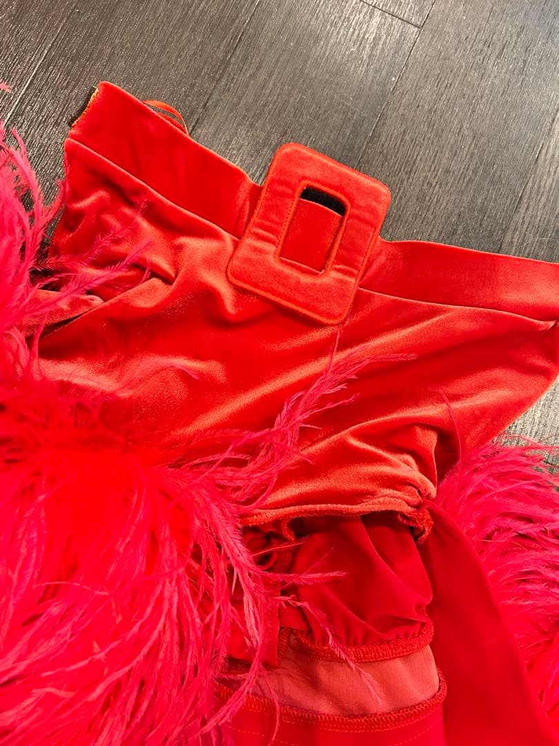 赤のオーストリッチスカート社交ダンスドレス