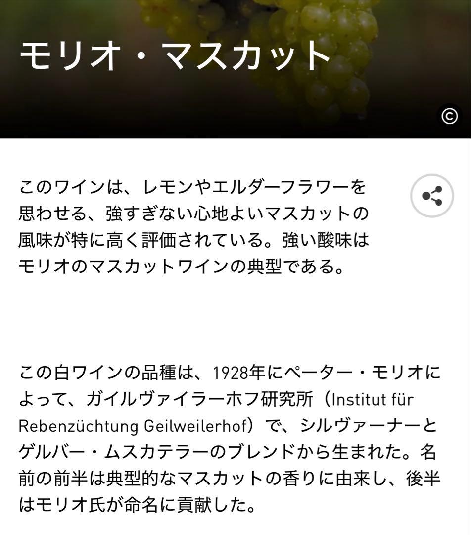 モリオ・ムスカート（Morio-Muskat）
