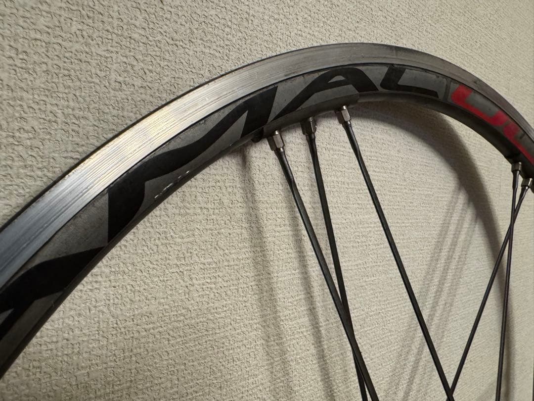 チタンカラー　CAMPAGNOLO SHAMAL ULTRA クリンチャー
