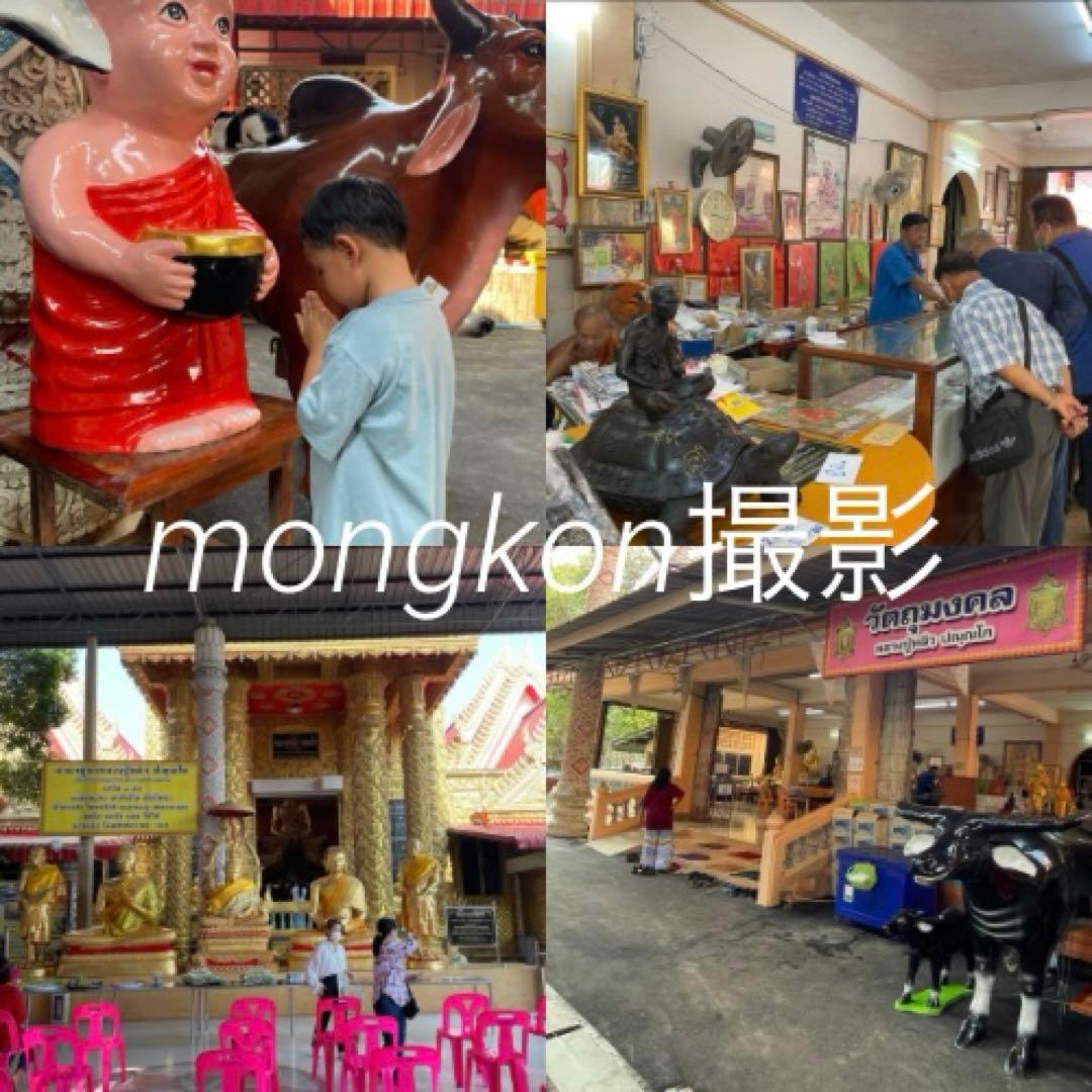 【神龜のご加護】世界尊者『LPリュウ師』超金運到来の神亀　プラクルアン　中　②