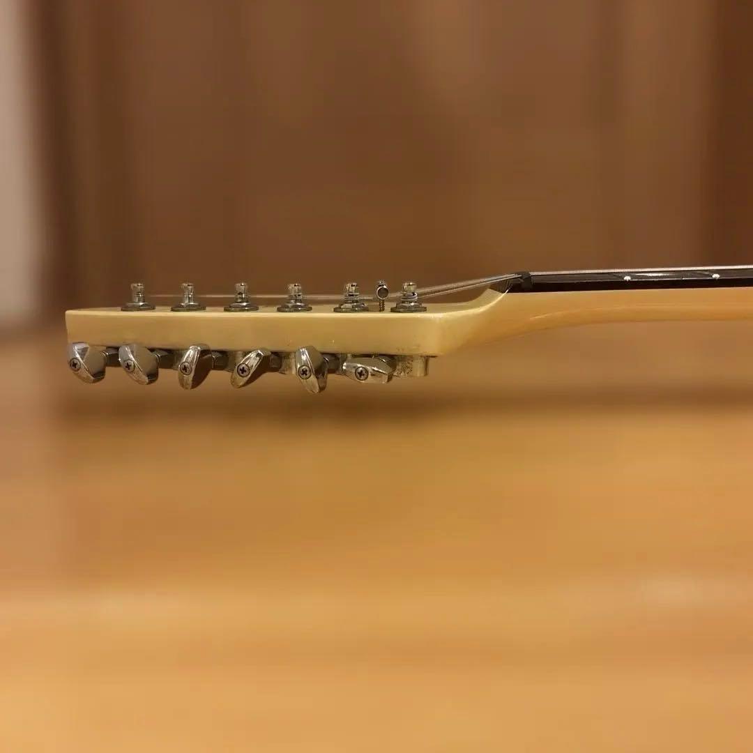 【Kenさん専用】Aria Pro II RS Wildcat アーム付 新品弦