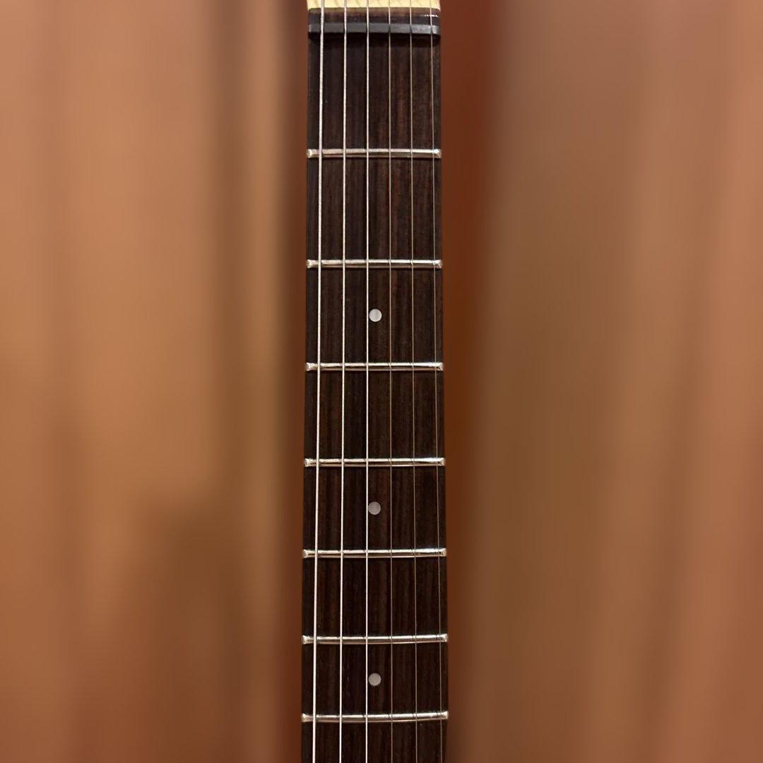 【Kenさん専用】Aria Pro II RS Wildcat アーム付 新品弦