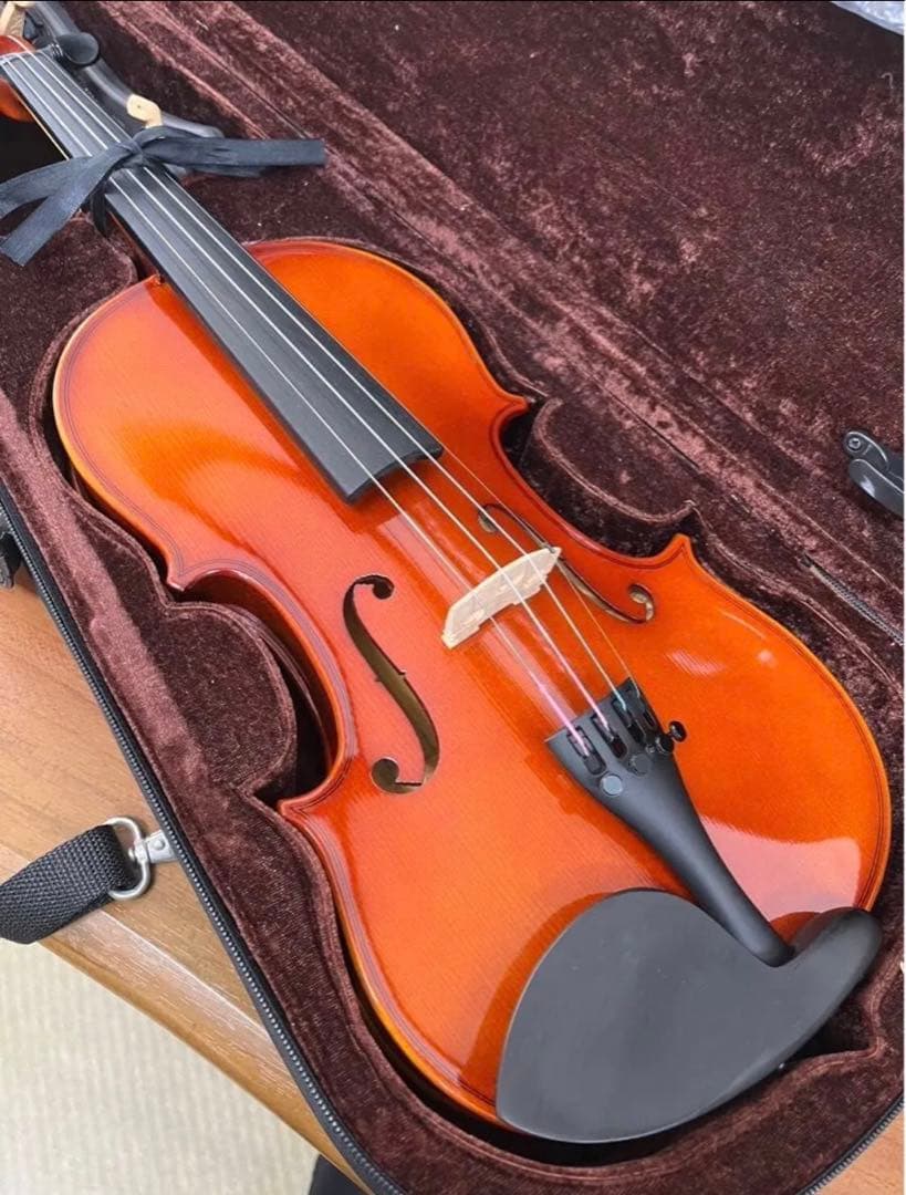 【新品】バイオリン CARLO GIORDANO/VS-1 (4/4サイズ)