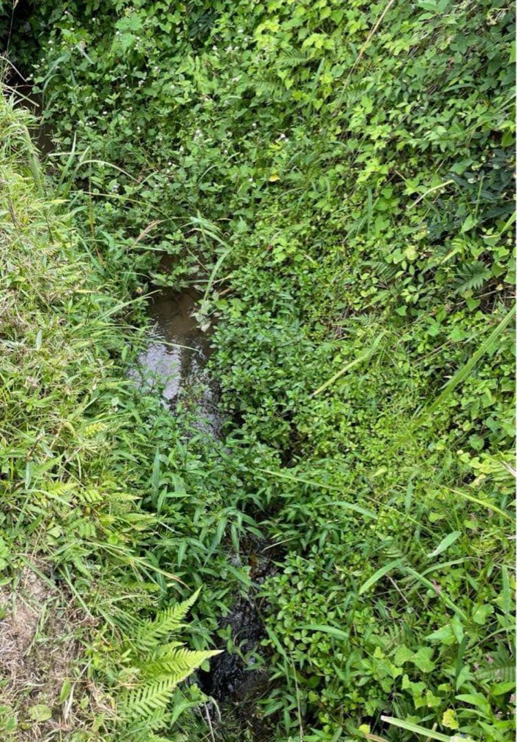 令和7年度産　ひのひかり　屑米　特別栽培米　玄米　箱込み24Kg