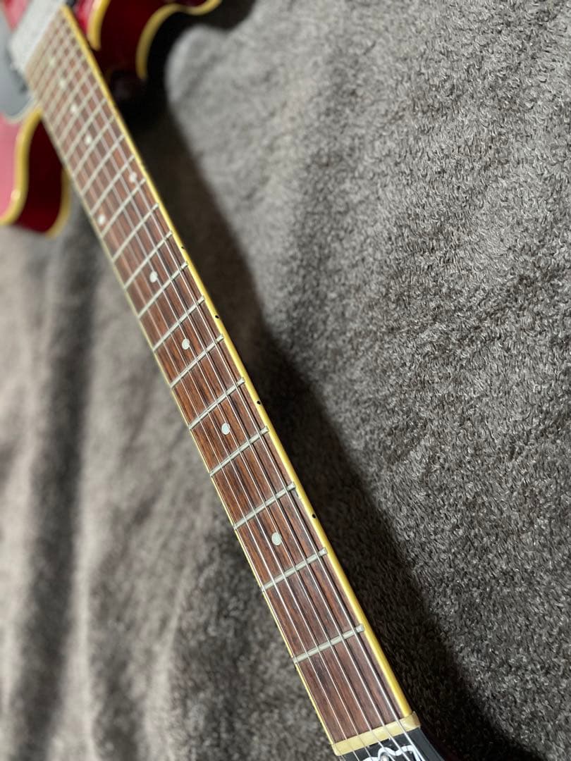 セミアコ 詳細不明