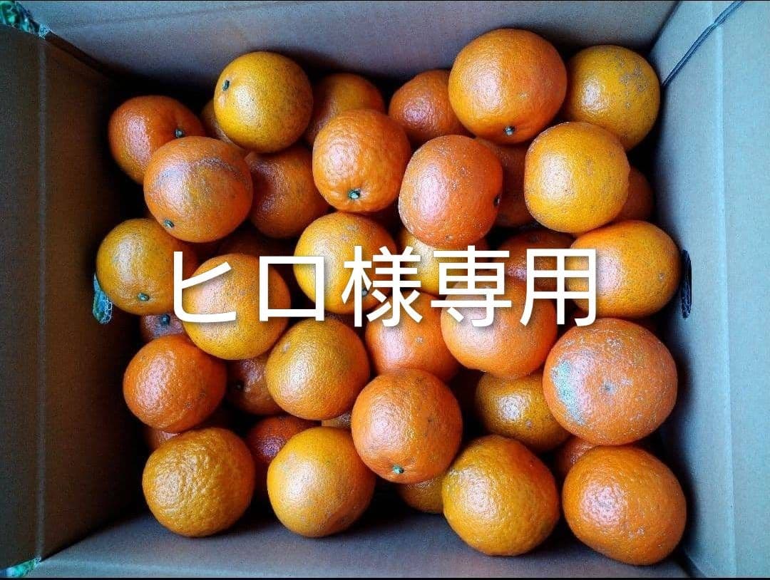 ヒロ　屋久島たんかん L 20キロ