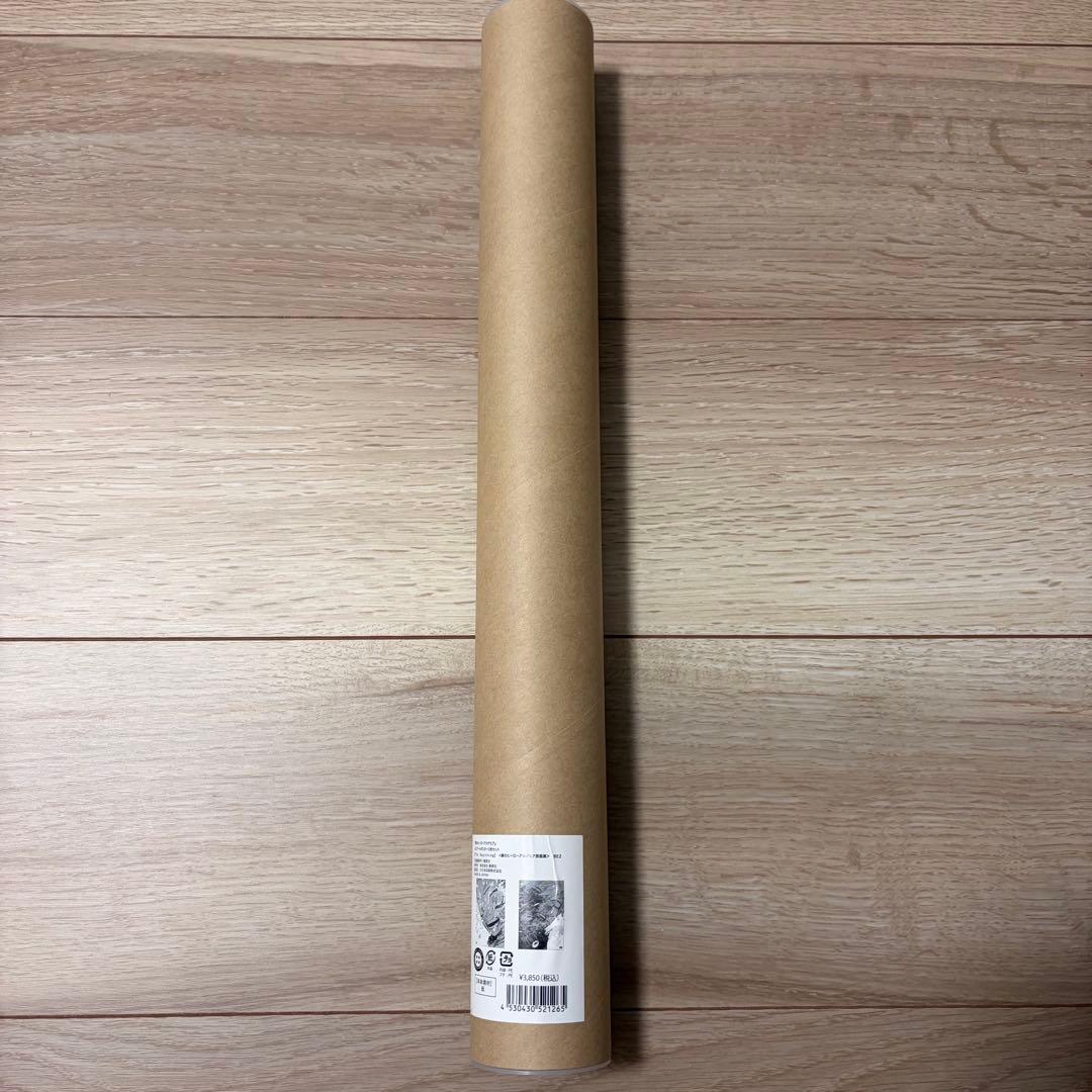 僕のヒーローアカデミア 緑谷出久 爆豪勝己 ポスター The Beginning