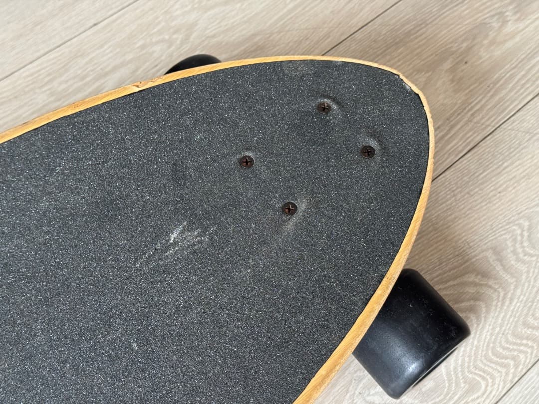 ランドヤッツ ピンテールロングボード – 咆哮する熊グラフィック