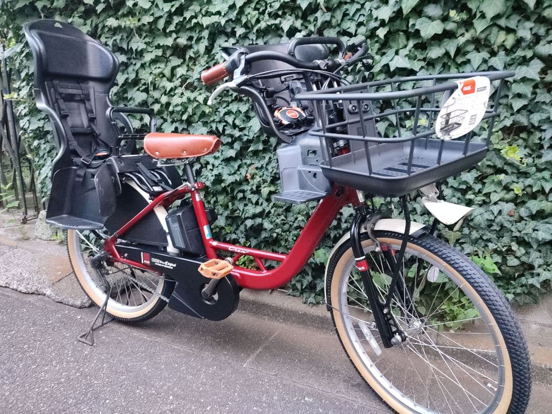 大容量12.3ahバッテリー カラーコーデ パス クルー 3人乗り