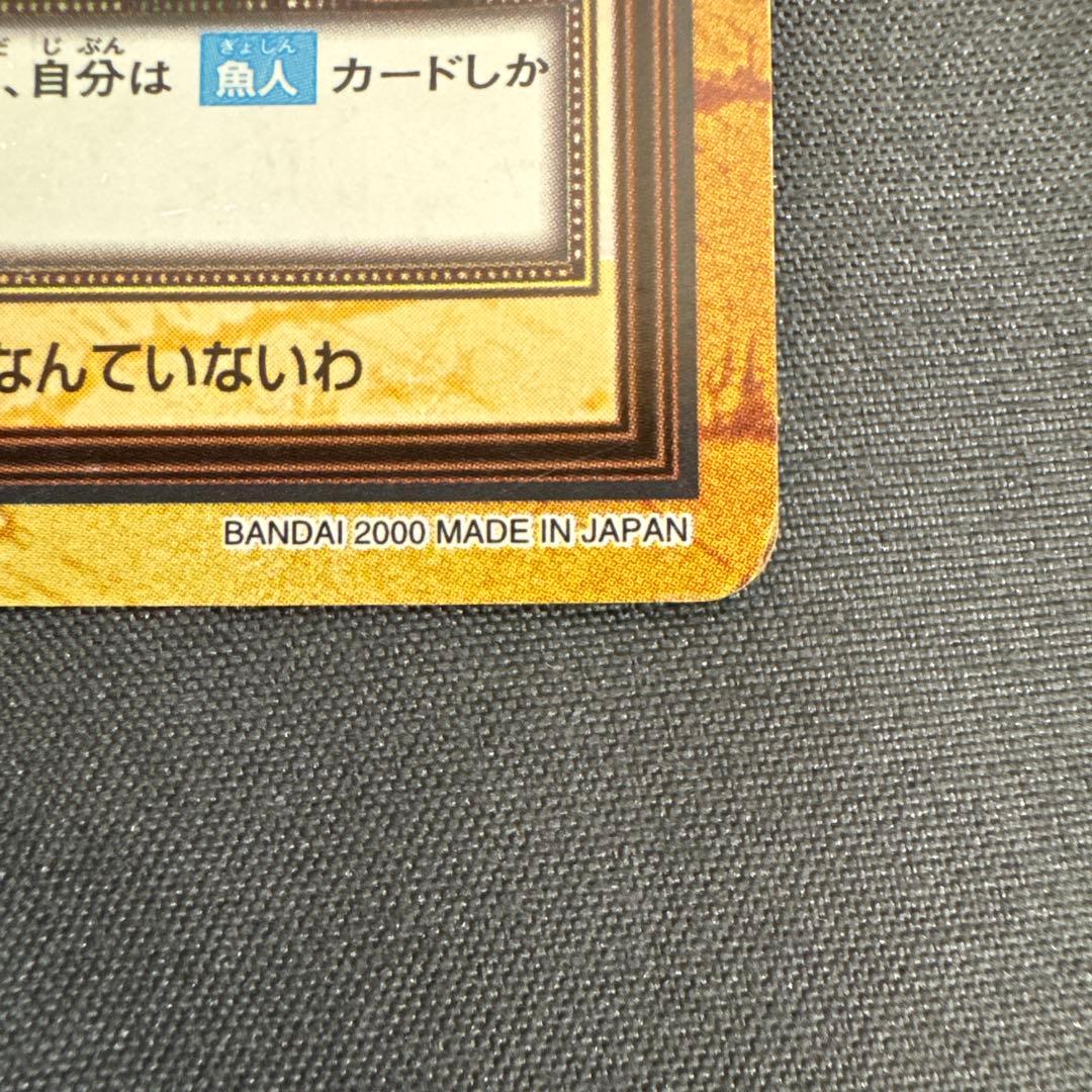 ワンピース ナミ カードダス 初期