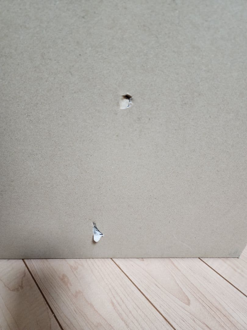 スペシャル価格❗ドラゴンボールアライズ　ムーリ長老&ネイル　限定特典付き