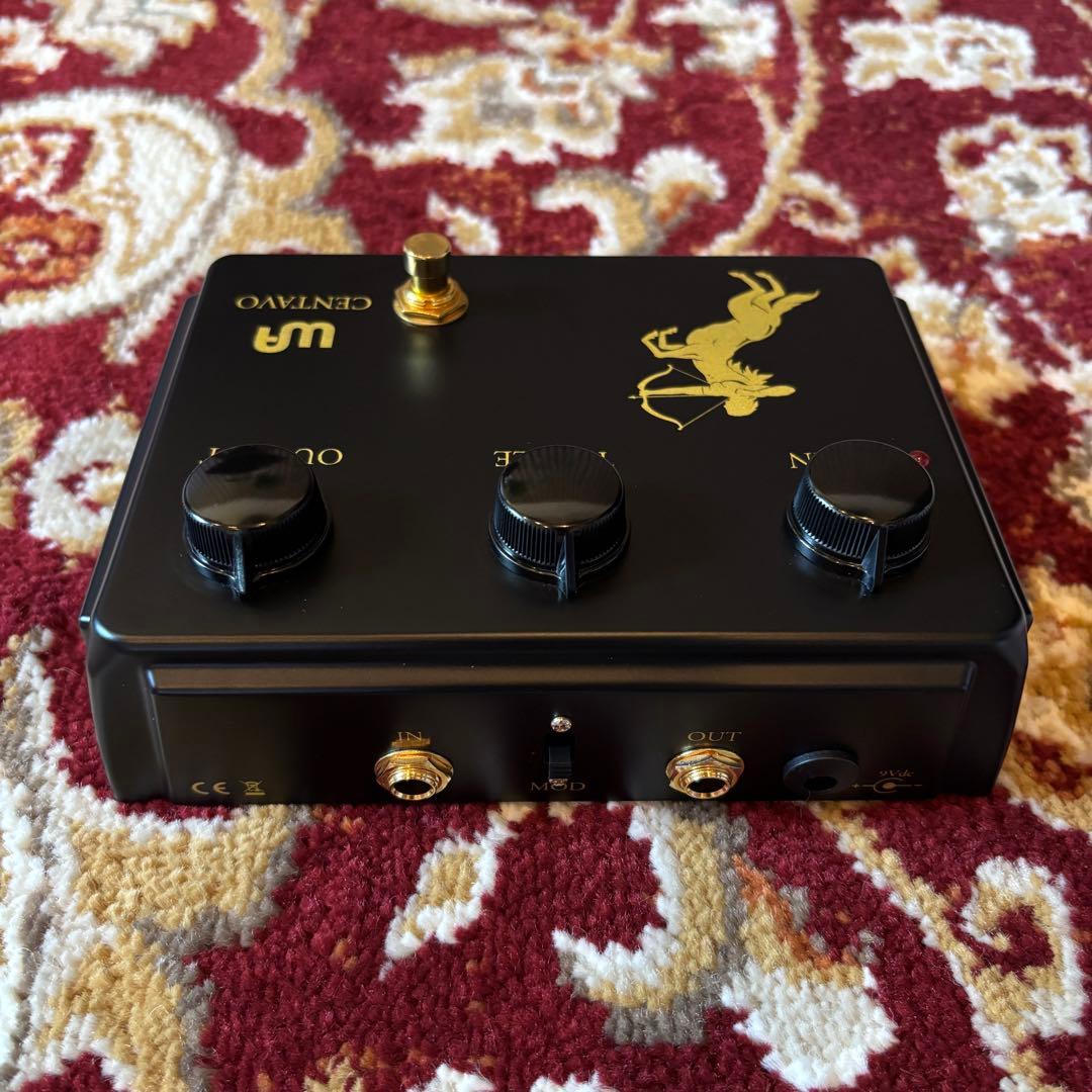 ギター WARM AUDIO Centavo Blackout