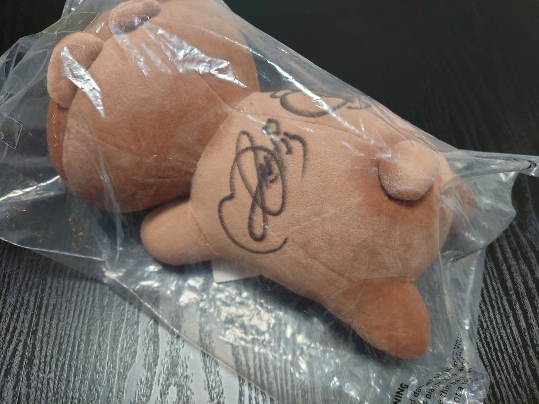 【久保史緒里&弓木奈於】直筆サイン入りLINELIVE限定横たわりピロー人形