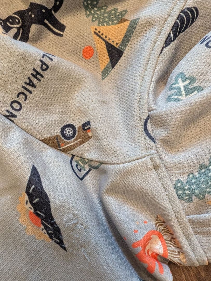 アルファアイコン 2023モデル 限定 クールドッグガード 本日まで