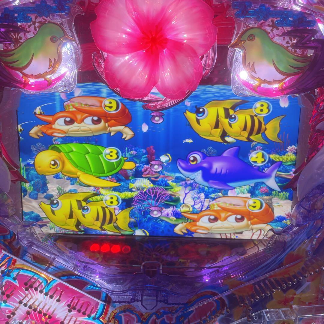 【極美品】スーパー海物語 パチンコ実機 沖縄5 夜桜超旋風319