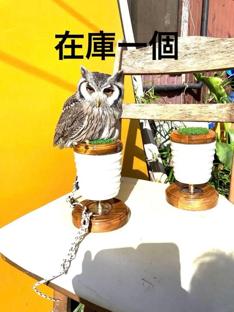 極　小型猛禽パーチ、ファルコンブロックA