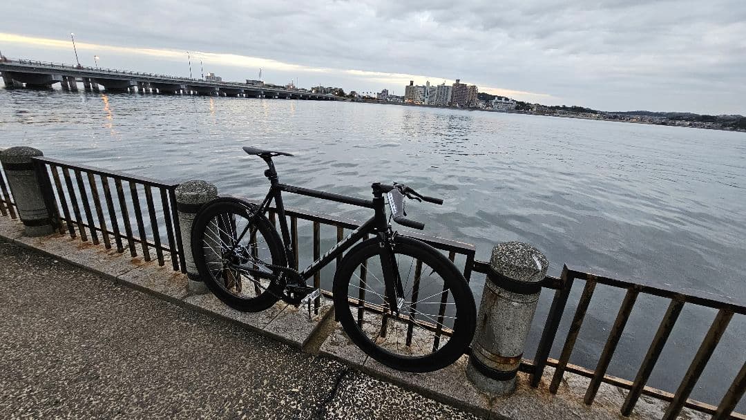 LEADER リーダー EQNX 2014 56CM フレセのみ ピスト