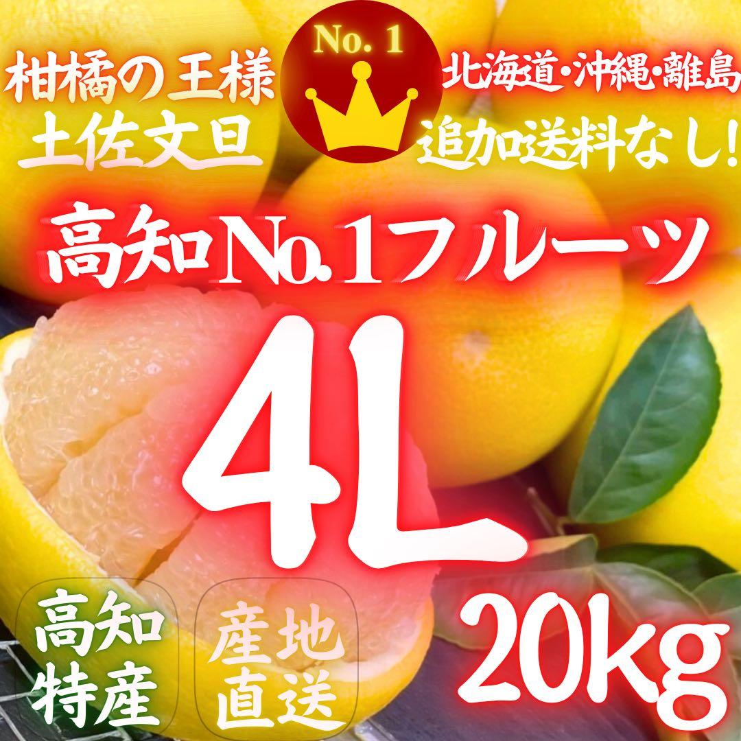 ㉓高知特産 露地栽培 土佐文旦 4L限定 文旦 約20kg 大玉 サイズ
