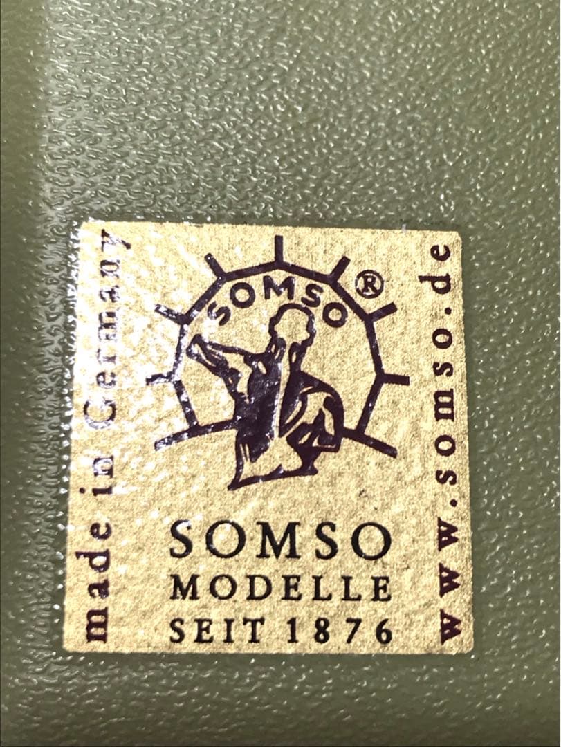 独SOMSO社 (ソムソ社) BS25/T透明な１５分解脳模型♡ 　脳解剖模型