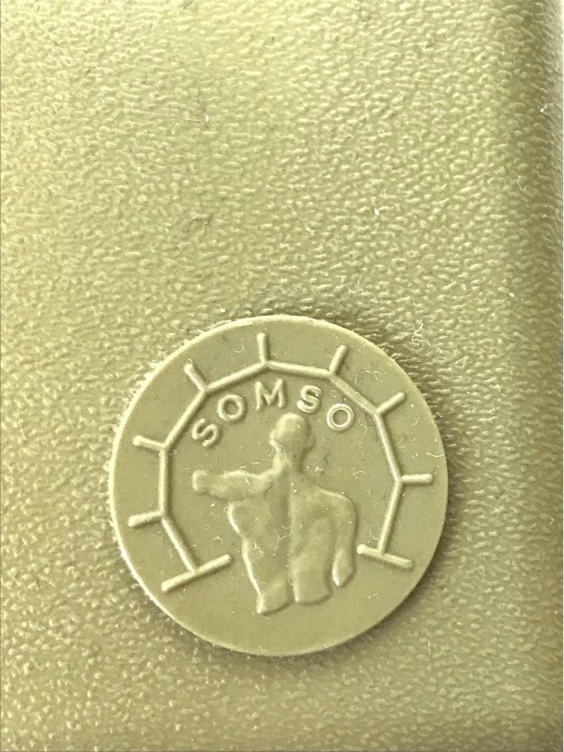 独SOMSO社 (ソムソ社) BS25/T透明な１５分解脳模型♡ 　脳解剖模型