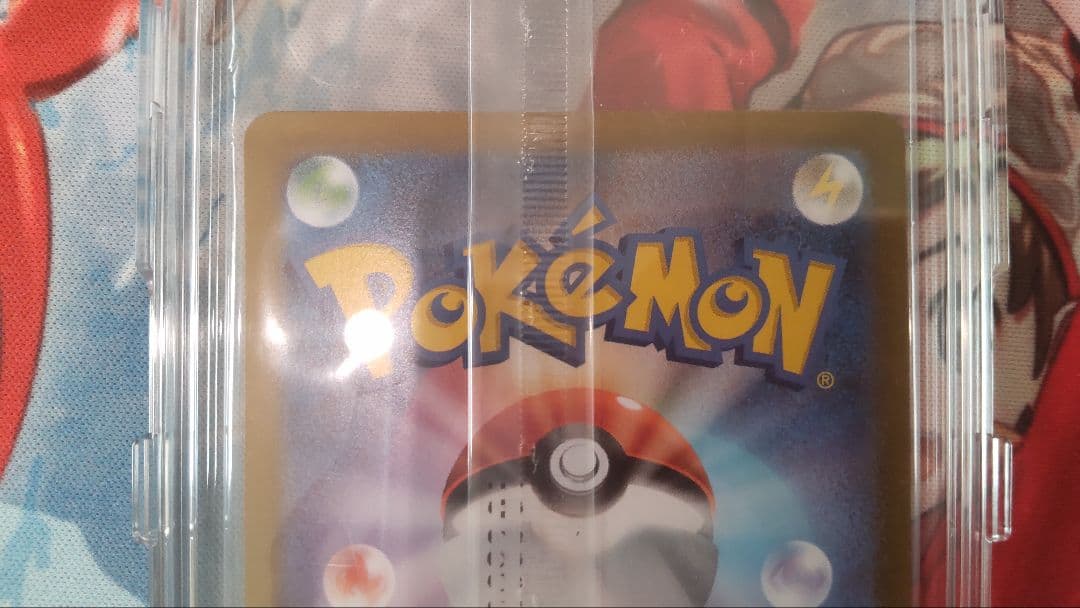 ポケモンカード ビクティニ BWR争奪戦 大会景品 未開封