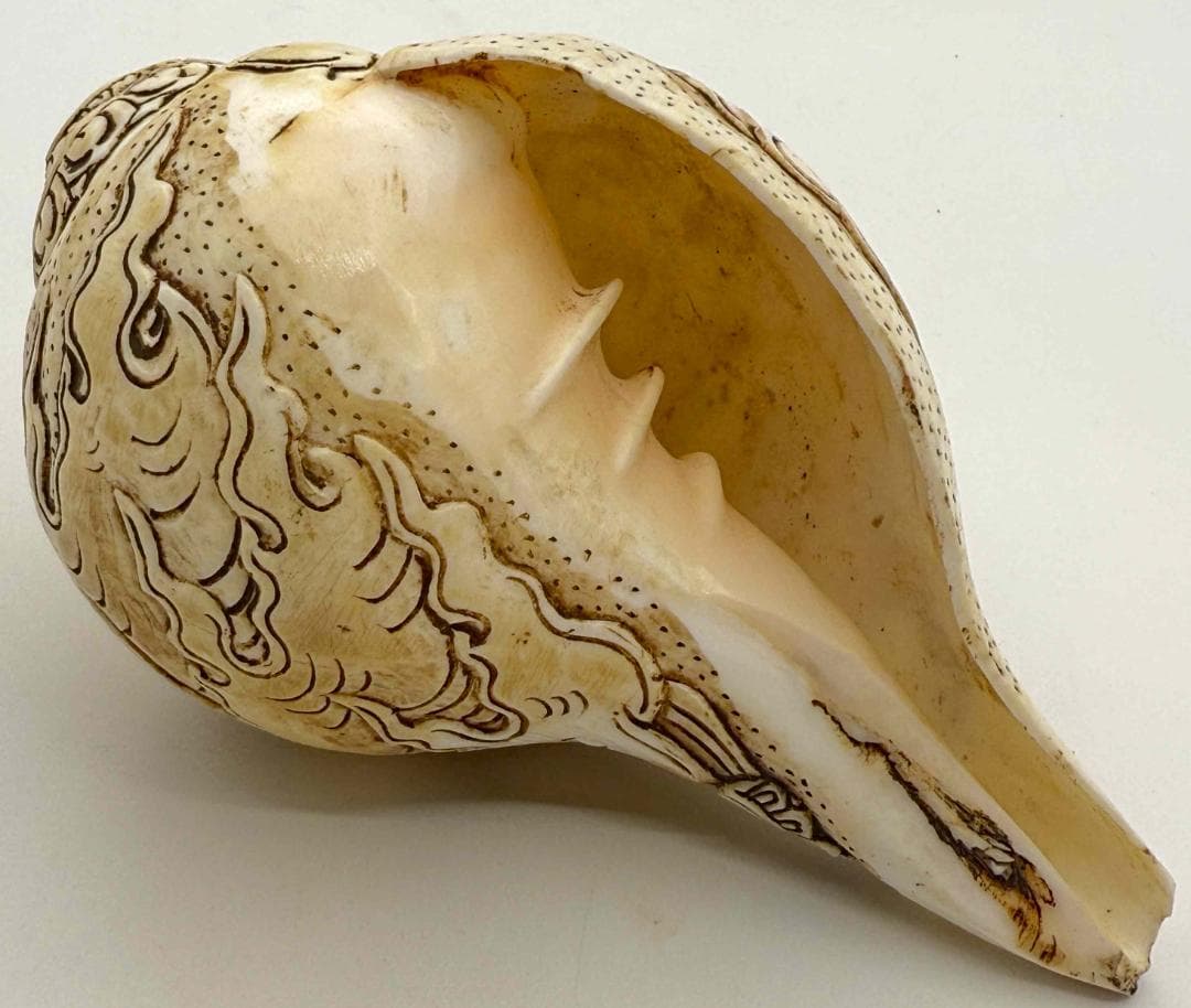 チベット密教法具　法螺貝（シャンカ）チティパティ-2