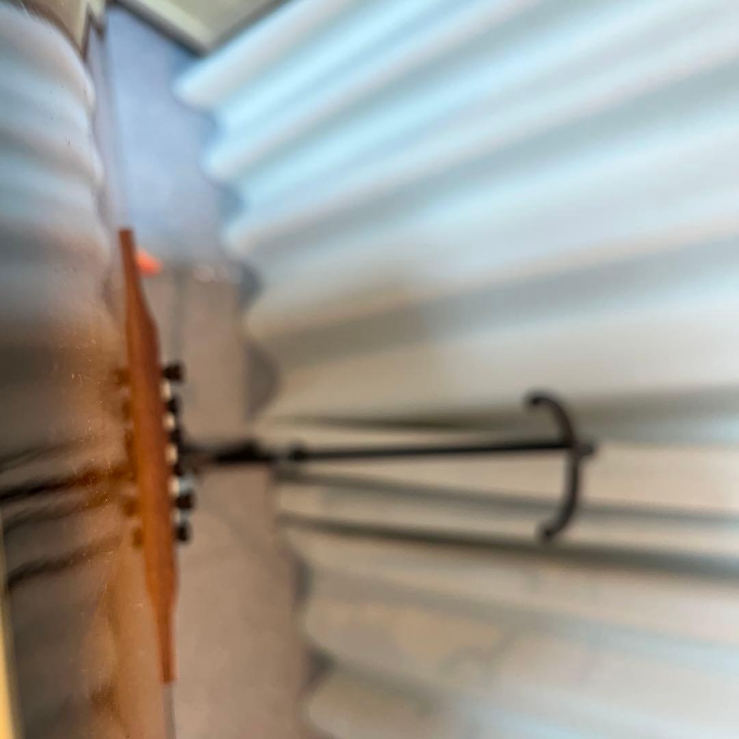 Eastman E10 SS 【book13さん専用】