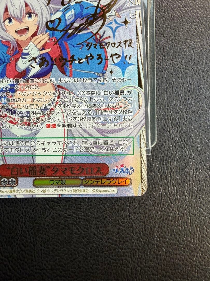 【即日発送】シンデレラグレイ　白い稲妻 タマモクロス ssp サイン