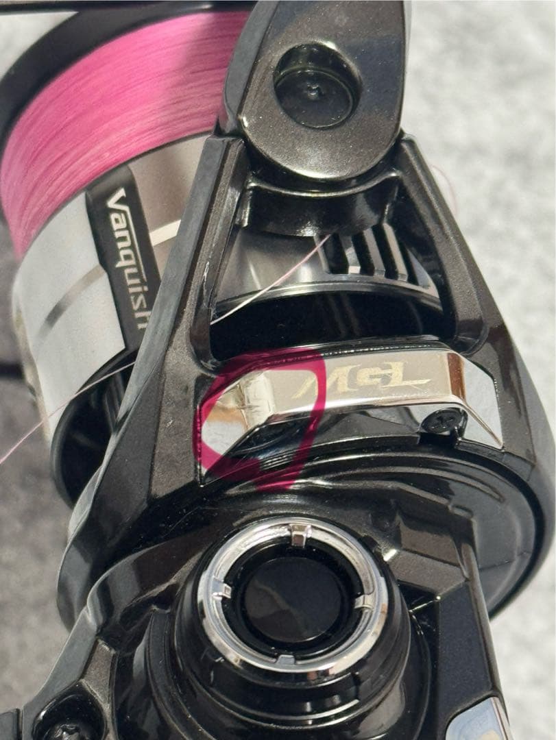 たなちゅー様　23ヴァンキッシュ