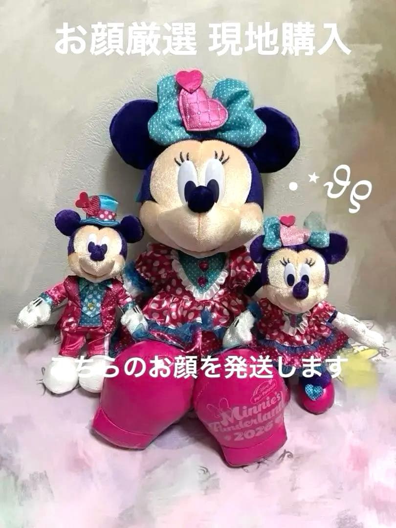 ぬいぐるみバッジ ぬいぐるみ ミニー ミッキー パルパルーザ ファンダーランド